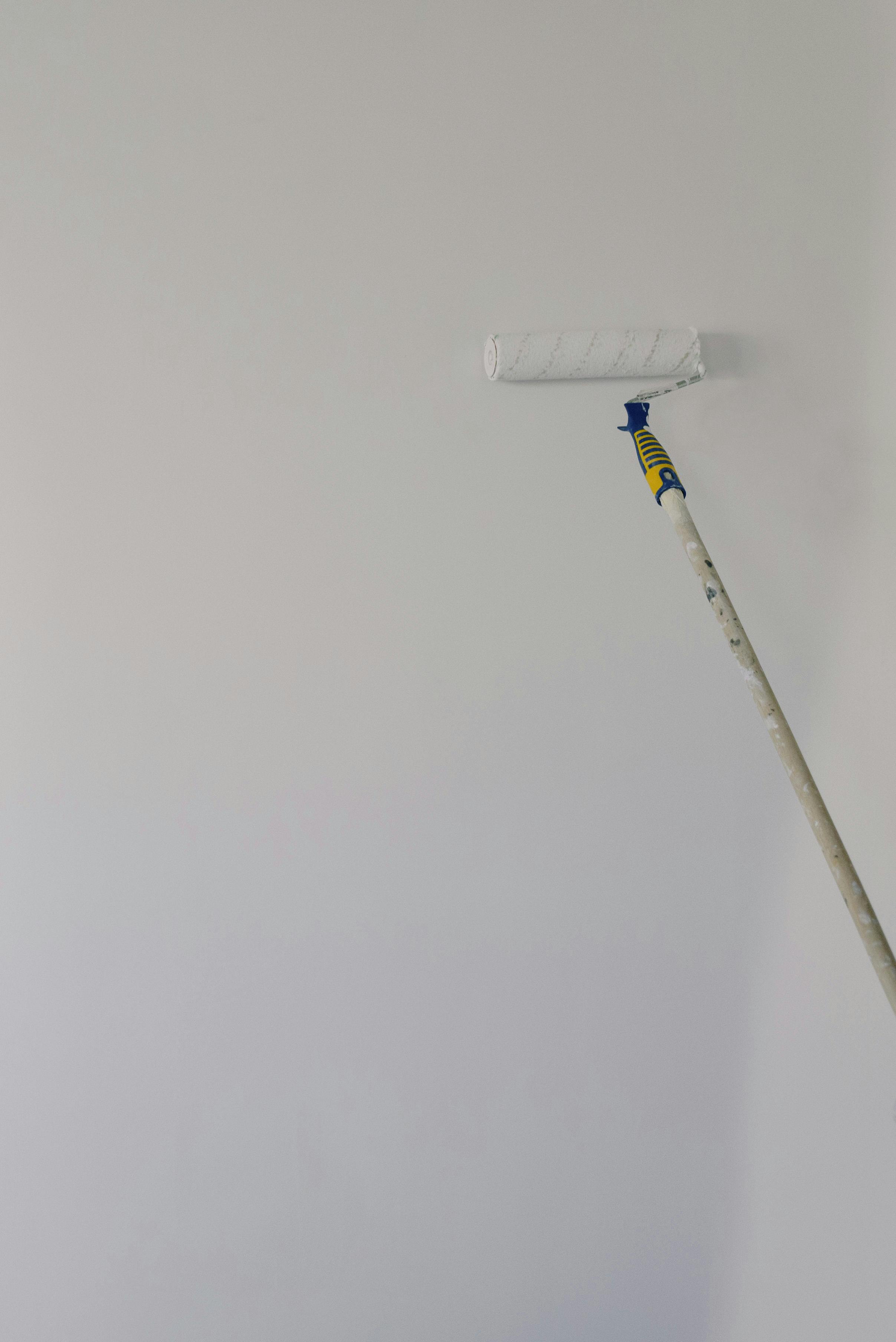 Interior Painting Project